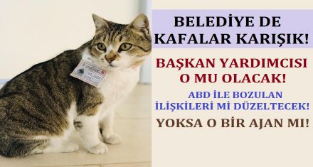 BELEDİYE DE KAFALAR KARIŞIK!