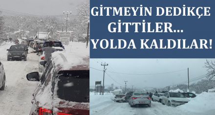 GİTMEYİN DEDİKÇE GİTTİLER