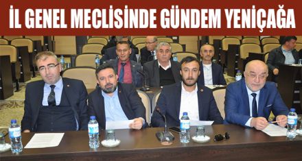 İL GENEL MECLİSİNDE GÜNDEM YENİÇAĞA