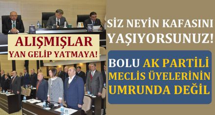 BOLU UMURLARINDA DEĞİL!