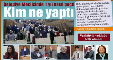 Meclis Üyelerinin 1 yılı nasıl geçti?