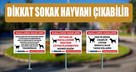 DİKKAT SOKAK HAYVANI ÇIKABİLİR
