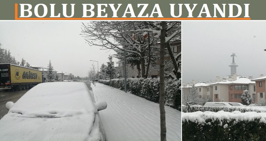 BOLU BEYAZA UYANDI