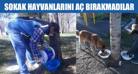 SOKAK HAYVANLARINI AÇ BIRAKMADILAR