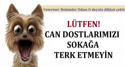 LÜTFEN ONLARI SOKAĞA TERK ETMEYİNİZ!