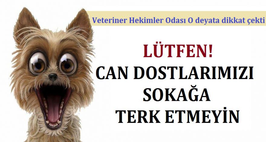 LÜTFEN ONLARI SOKAĞA TERK ETMEYİNİZ!
