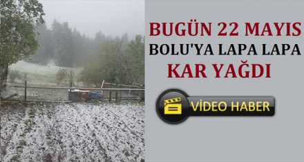 BOLU'YA LAPA LAPA KAR YAĞDI