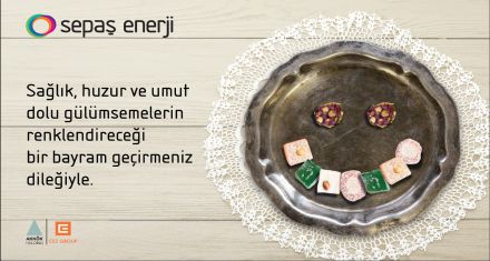 SEPAŞ ENERJİ