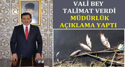 ÇEVRE KATLİAMIYLA İLGİLİ MÜDÜRLÜK AÇIKLAMA YAPTI