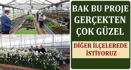 DİĞER İLÇELERE DE BEKLİYORUZ