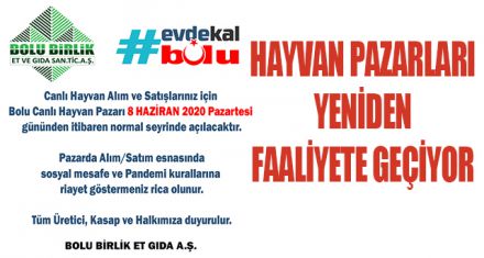 HAYVAN PAZARLARI YENİDEN FAALİYETE GEÇİYOR