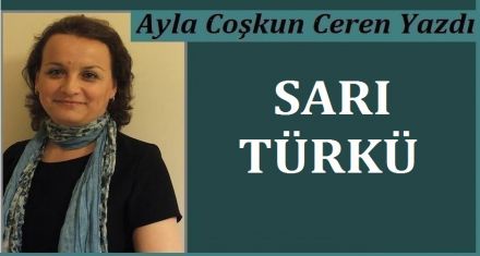 SARI TÜRKÜ