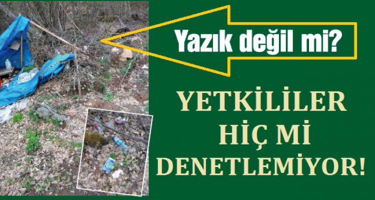 Orman köylüsü bunu yaparsa!