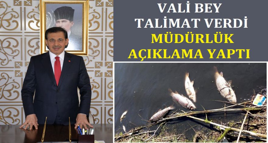 ÇEVRE KATLİAMIYLA İLGİLİ MÜDÜRLÜK AÇIKLAMA YAPTI