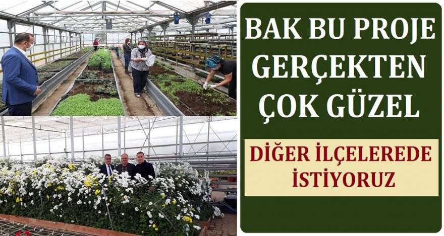 DİĞER İLÇELERE DE BEKLİYORUZ