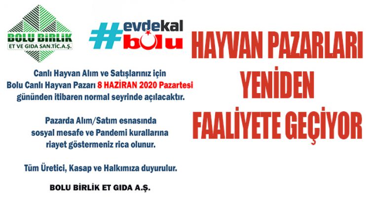 HAYVAN PAZARLARI YENİDEN FAALİYETE GEÇİYOR