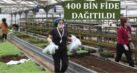 400 BİN FİDE DAĞITILDI