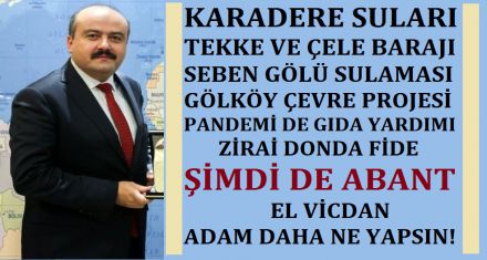 FATİH METİN ABANT'A DA EL ATTI
