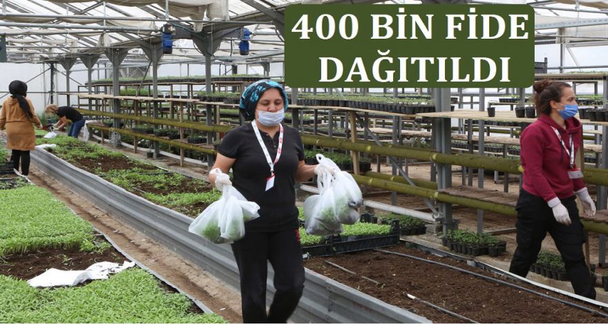 400 BİN FİDE DAĞITILDI