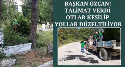 OTLAR KESİLİP YOLLAR DÜZELTİLİYOR 