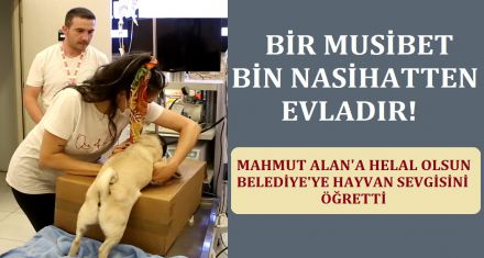 BELEDİYE'YE VAHİY GİBİ HAYVAN SEVGİSİ İNDİ 