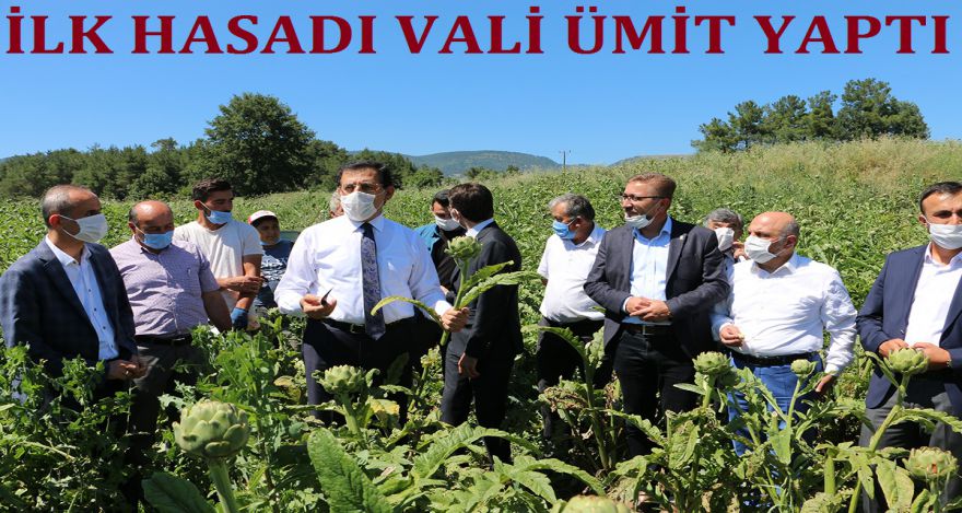 İLK HASADI VALİ ÜMİT YAPTI