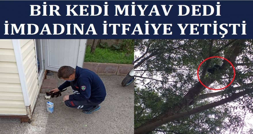 Yavru kediyi itfaiye kurtardı