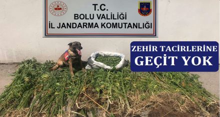 YAKAYI ELE VERDİLER