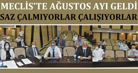 SAZ ÇALMIYORLAR KARINCA GİBİ ÇALIŞIYORLAR 
