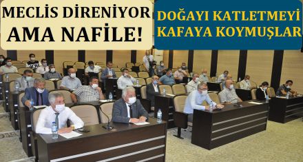 MECLİS DİRENİYOR AMA...