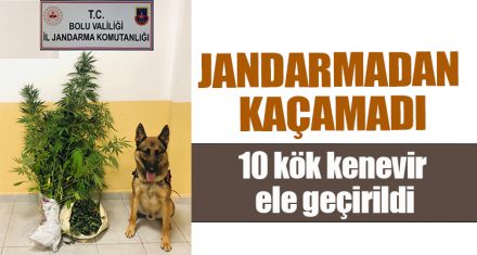 JANDARMADAN KAÇAMADI