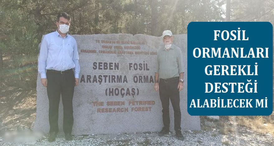 FOSİL ORMANLARI GEREKLİ DESTEĞİ ALABİLECEK Mİ?