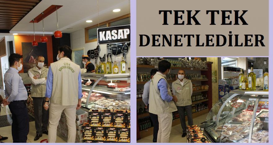 TEK TEK KONTROL ETTİLER