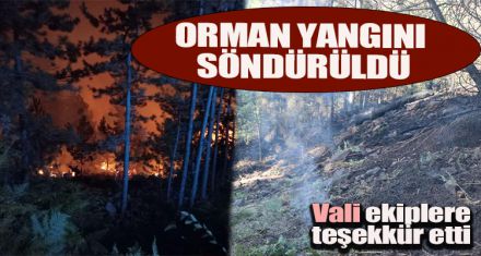 ORMAN YANGINI SÖNDÜRÜLDÜ