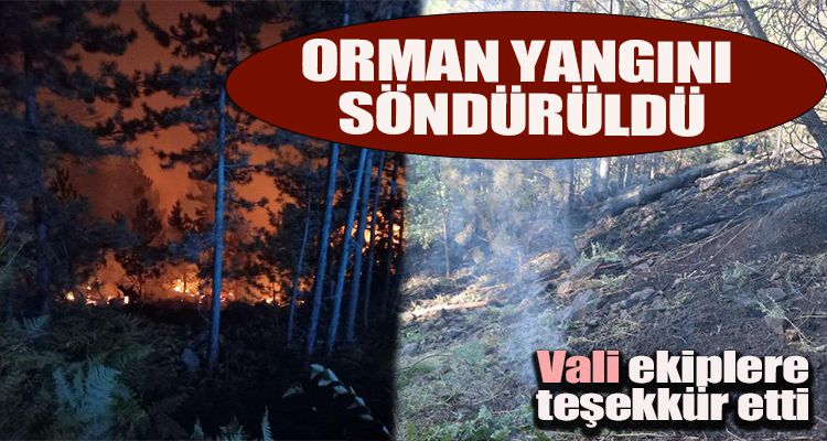 ORMAN YANGINI SÖNDÜRÜLDÜ