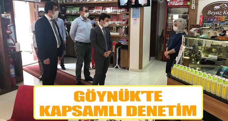 GÖYNÜK'TE KAPSAMLI DENETİM