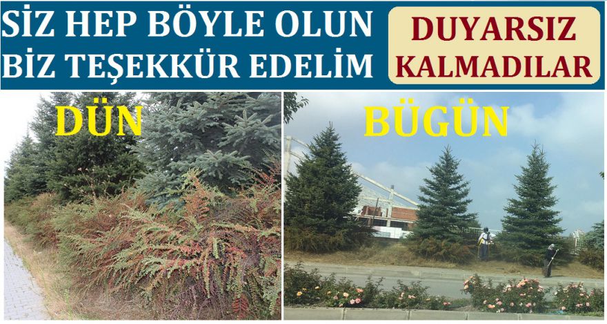 Belediye duyarsız kalmadı