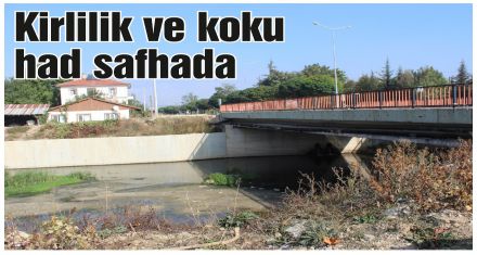 Büyüksu Haliç'in eski halini geçti 