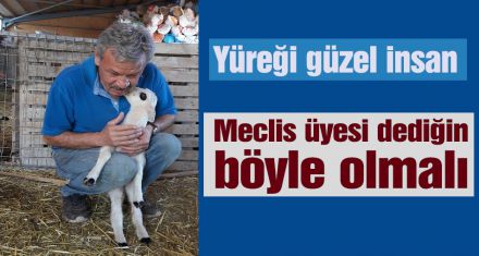 Meclis üyesi dediğin böyle olmalı 
