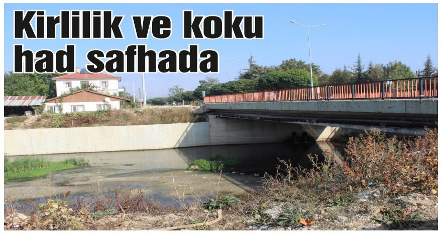 Büyüksu Haliç'in eski halini geçti