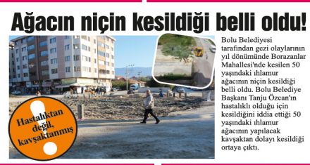 Ağacı kestiler kavşak yaptılar