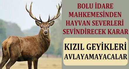 HAYVAN SEVERLER ÇOK MUTLU OLACAK!