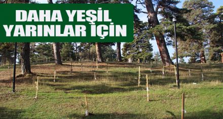 DAHA YEŞİL YARINLAR İÇİN