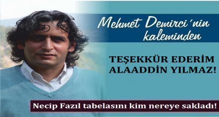 TEŞEKKÜR EDERİM ALAADDİN YILMAZ!