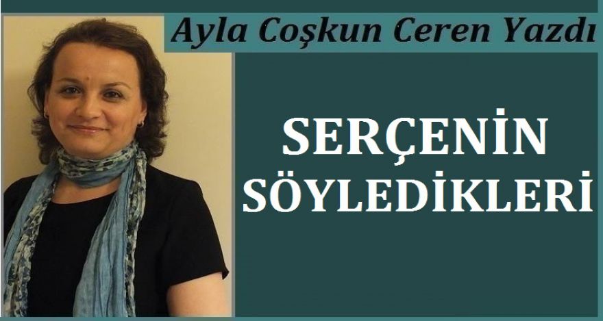 SERÇENİN SÖYLEDİKLERİ