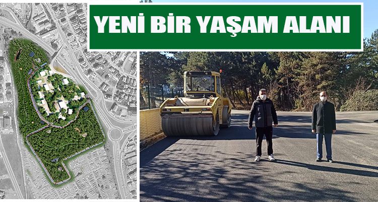 YENİ BİR YAŞAM ALANI
