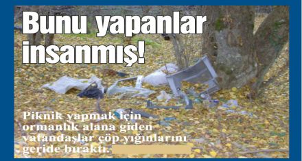 Ormanları çöplüğe çevirmişler!