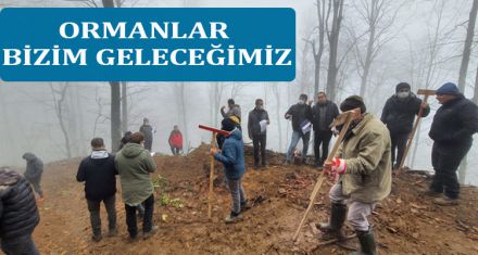 ORMANLAR BİZİM GELECEĞİMİZ.