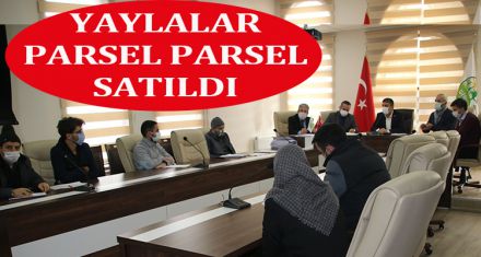 YAYLALAR PARSEL PARSEL SATILDI.