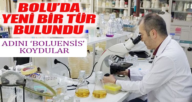 BOLU'DA YENİ BİR TÜR BULUNDU